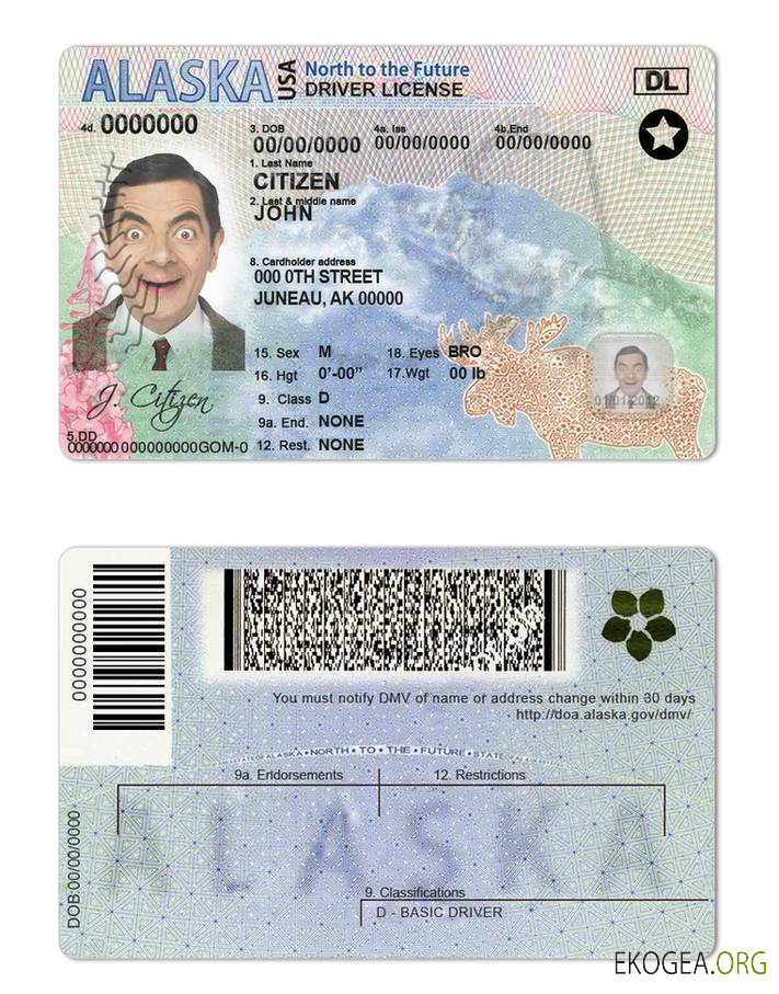 USA Alaska state driving license